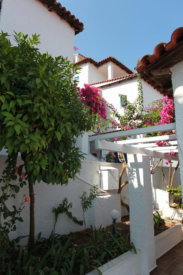 Hotel Elena Syvota Bagian luar foto