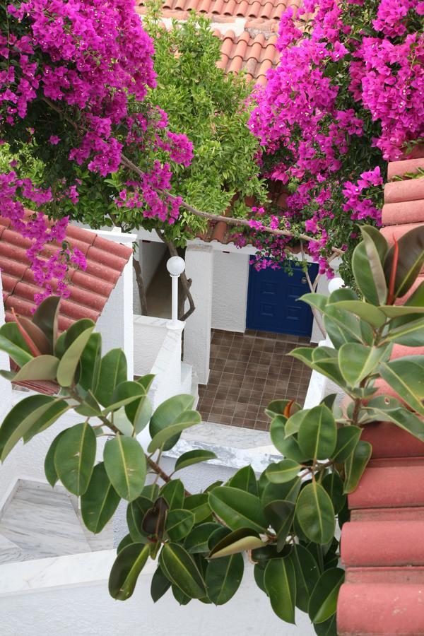 Hotel Elena Syvota Bagian luar foto