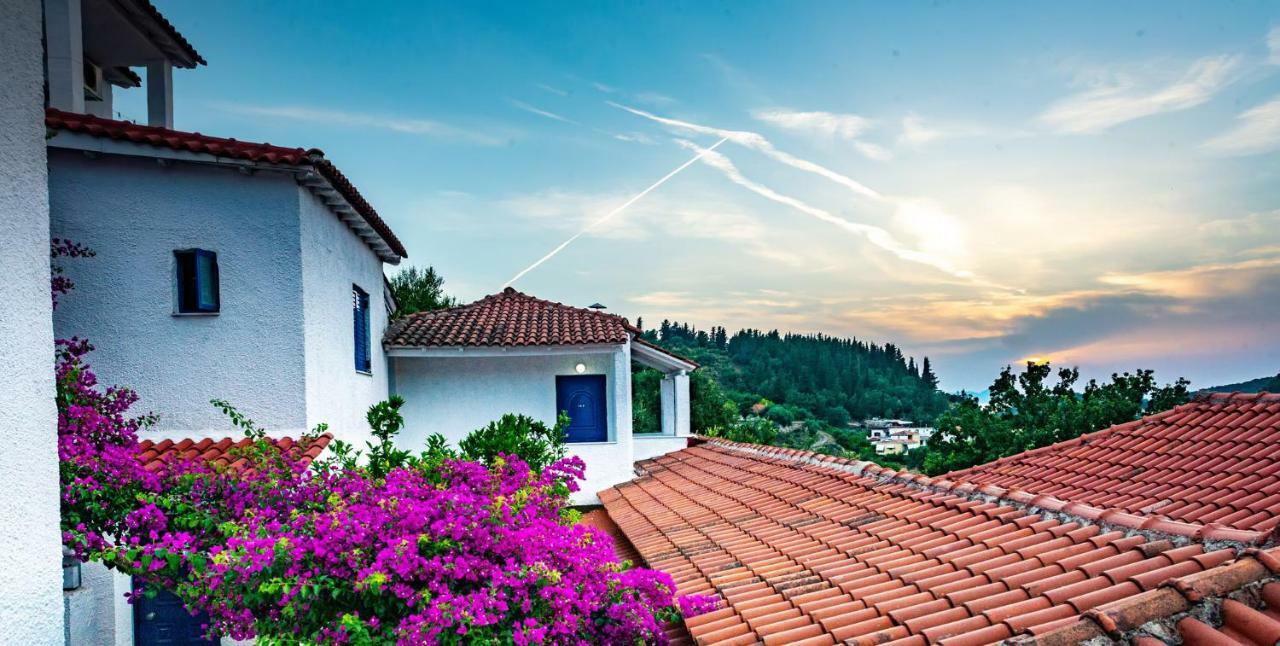 Hotel Elena Syvota Bagian luar foto